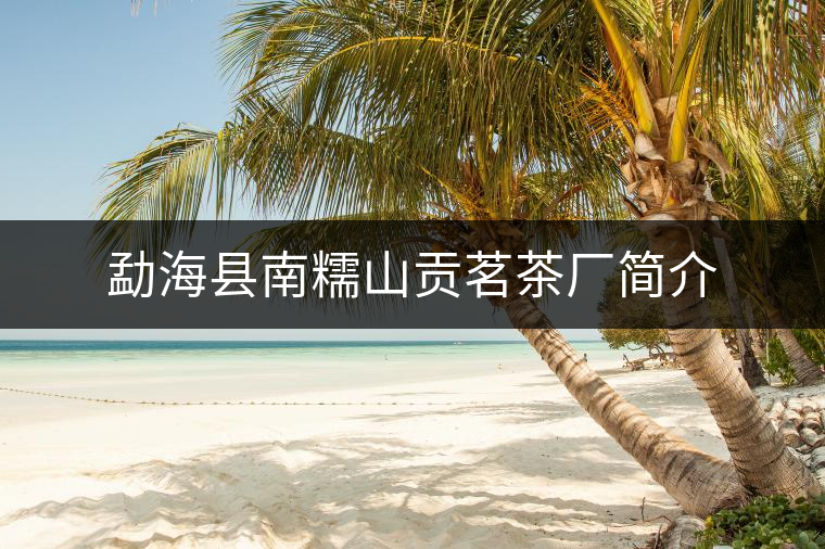 勐?？h南糯山貢茗茶廠簡(jiǎn)介