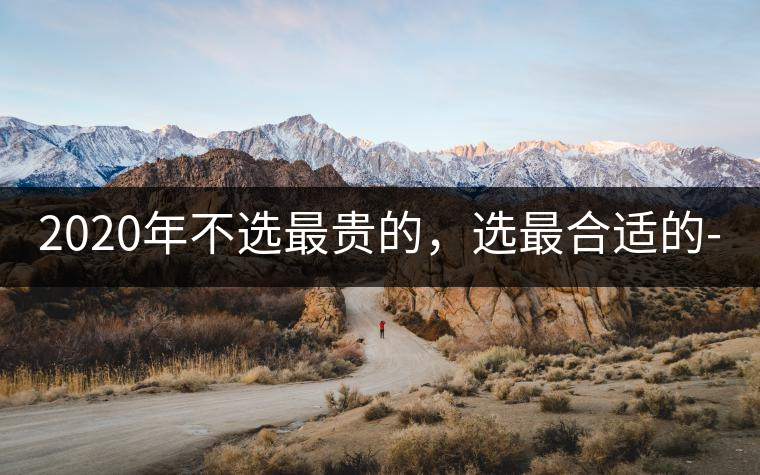 2020年不選最貴的，選最合適的-無量山古樹茶 |-易武中聘號