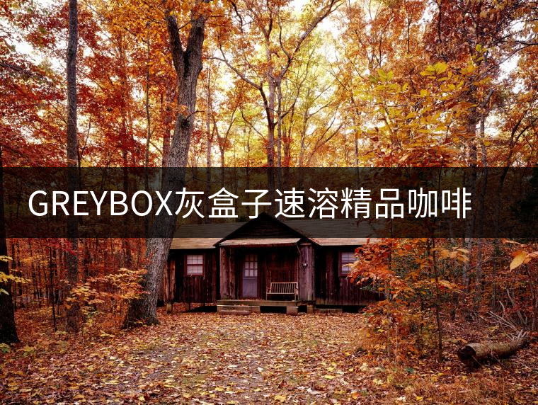 GREYBOX灰盒子速溶精品咖啡凍干拿鐵美式純黑咖啡10顆非普洱咖啡