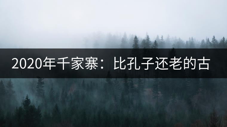 2020年千家寨：比孔子還老的古茶樹-易武中聘號
