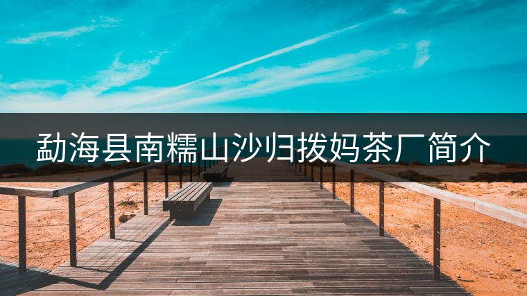 勐?？h南糯山沙歸撥媽茶廠簡(jiǎn)介