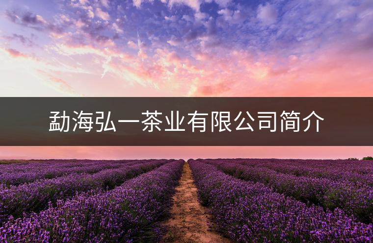 勐海弘一茶業(yè)有限公司簡介