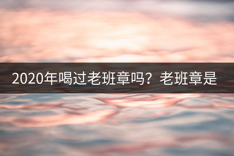 2020年喝過老班章嗎？老班章是什么味道？-易武中聘號