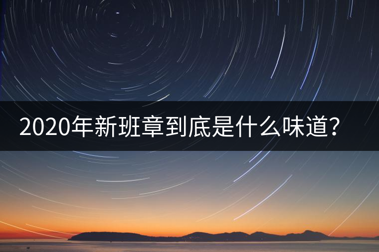2020年新班章到底是什么味道？-易武中聘號
