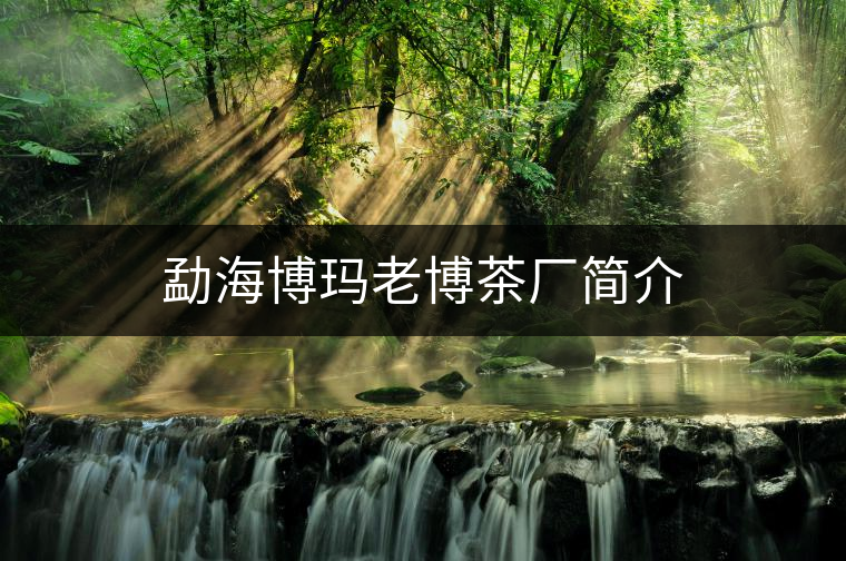 勐海博瑪老博茶廠簡(jiǎn)介 勐海博瑪老博茶廠簡(jiǎn)介
