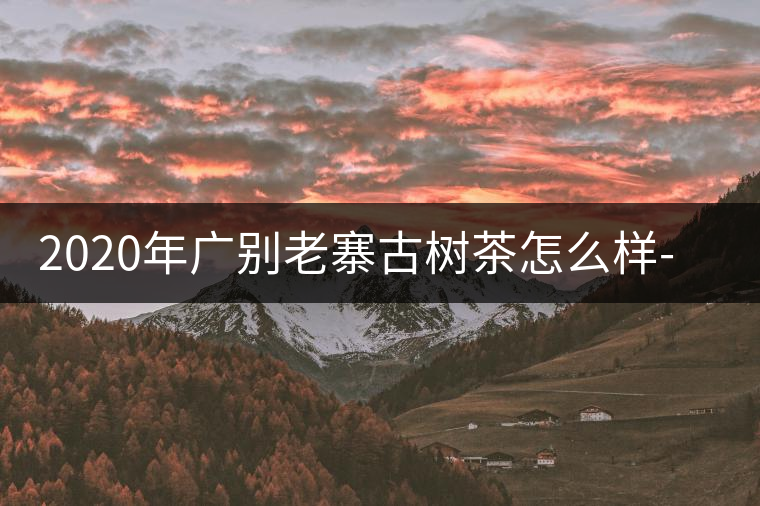 2020年廣別老寨古樹(shù)茶怎么樣-易武中聘號(hào)