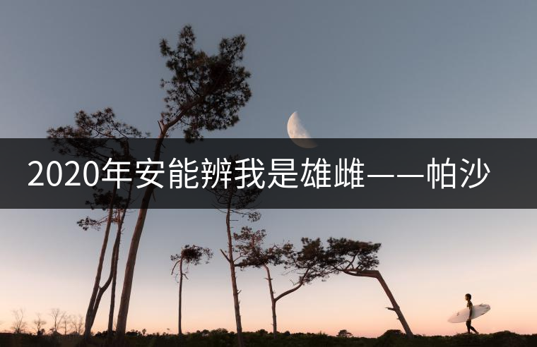 2020年安能辨我是雄雌——帕沙古樹茶-易武中聘號(hào)