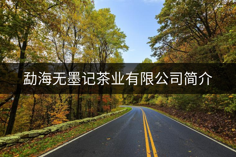 勐海無(wú)墨記茶業(yè)有限公司簡(jiǎn)介