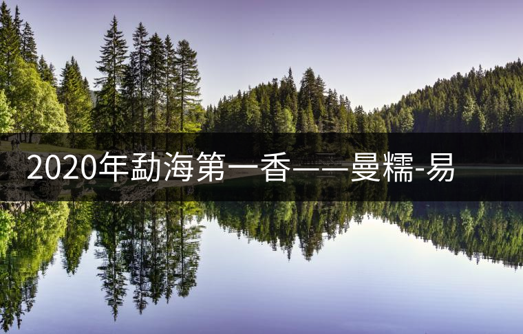 2020年勐海第一香——曼糯-易武中聘號(hào) 2020年勐海第一香——曼糯-易武中聘號(hào)
