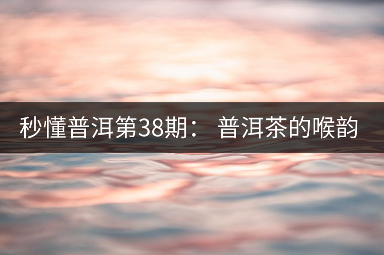 秒懂普洱第38期： 普洱茶的喉韻是什么？
