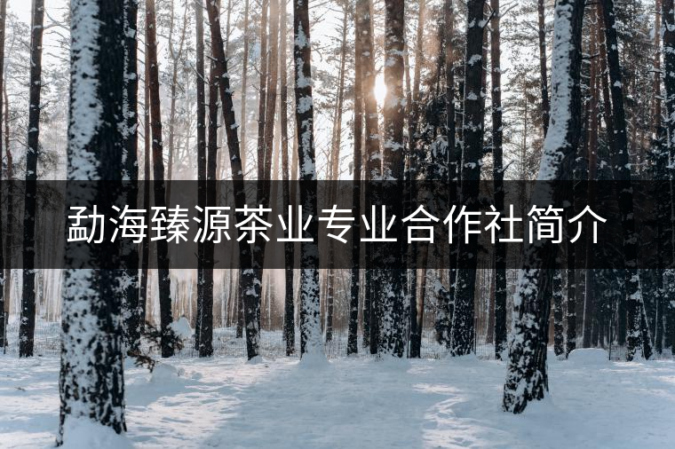 勐海臻源茶業(yè)專業(yè)合作社簡(jiǎn)介