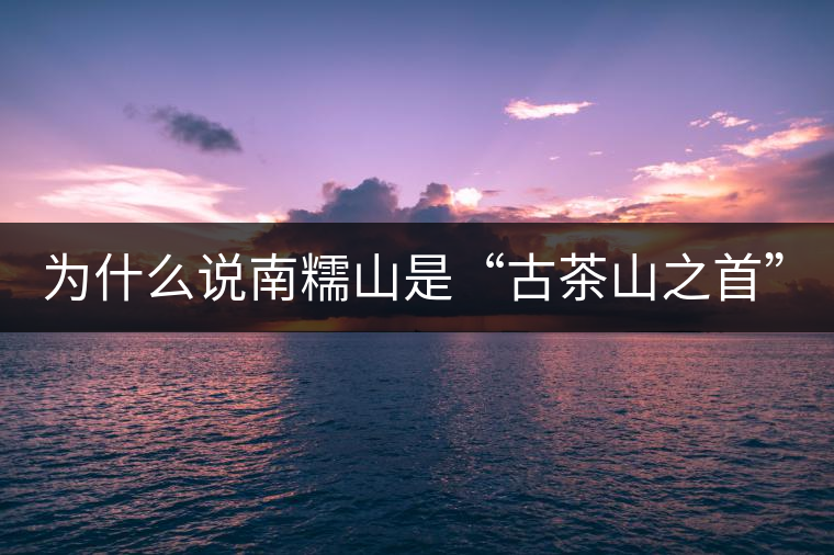 為什么說南糯山是“古茶山之首”？