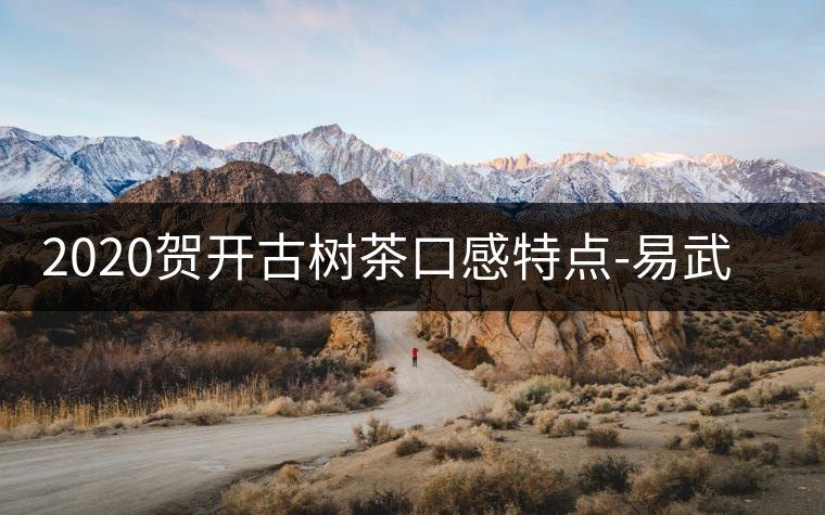 2020賀開古樹茶口感特點(diǎn)-易武中聘號(hào)