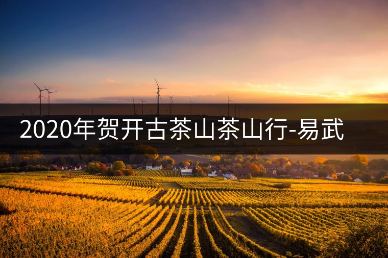 2020年賀開古茶山茶山行-易武中聘號