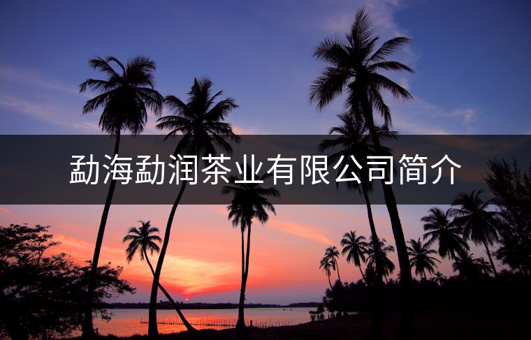 勐海勐潤(rùn)茶業(yè)有限公司簡(jiǎn)介 勐海勐潤(rùn)茶業(yè)有限公司簡(jiǎn)介