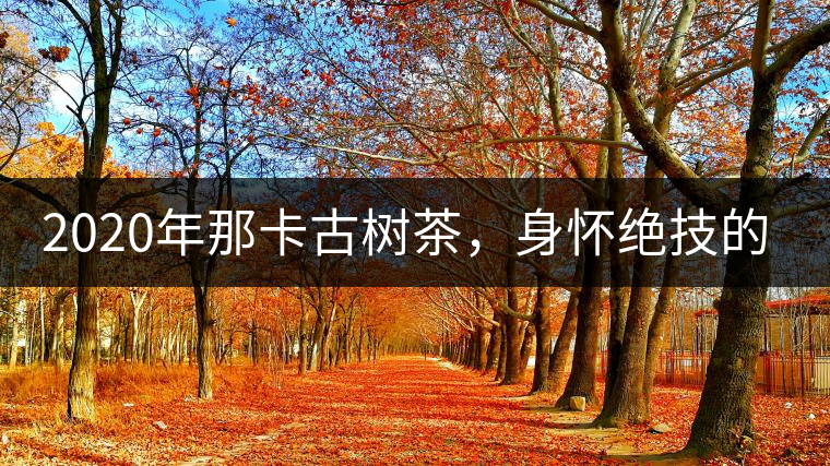 2020年那卡古樹(shù)茶，身懷絕技的“小班章” -易武中聘號(hào)