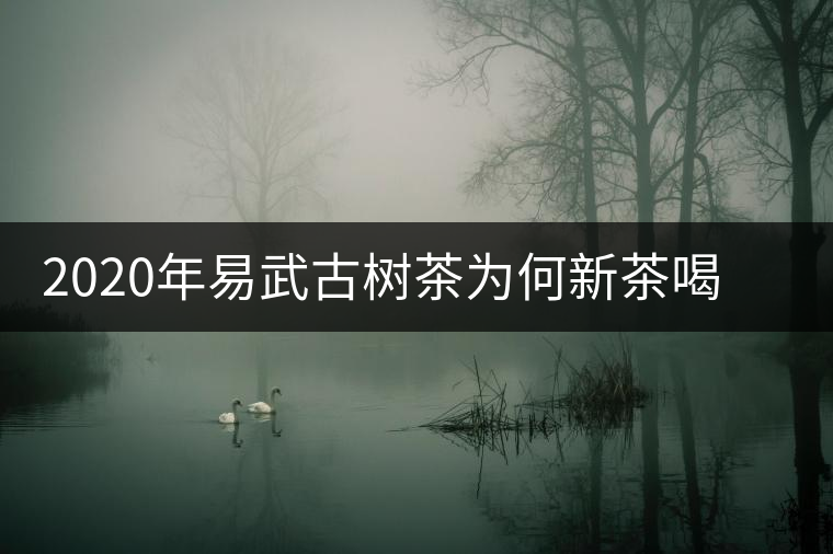2020年易武古樹茶為何新茶喝時淡卻越放越濃？-易武中聘號