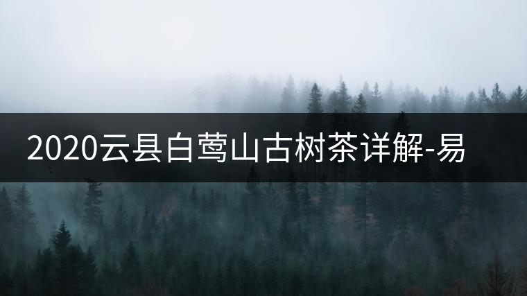 2020云縣白鶯山古樹(shù)茶詳解-易武中聘號(hào)