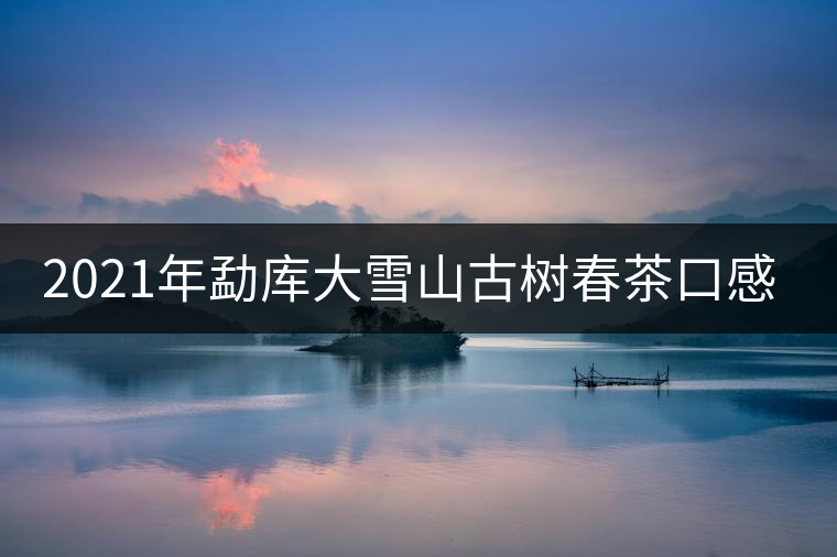 2021年勐庫(kù)大雪山古樹(shù)春茶口感特點(diǎn)？