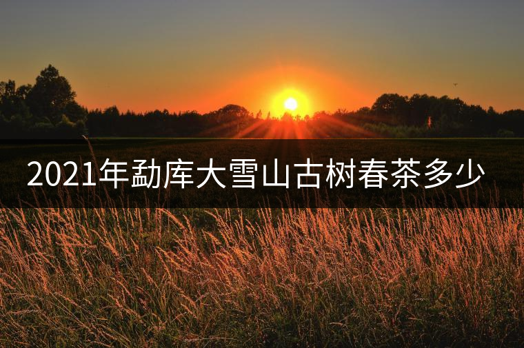 2021年勐庫(kù)大雪山古樹春茶多少錢一公斤？