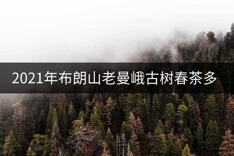 2021年布朗山老曼峨古樹(shù)春茶多少錢一公斤？