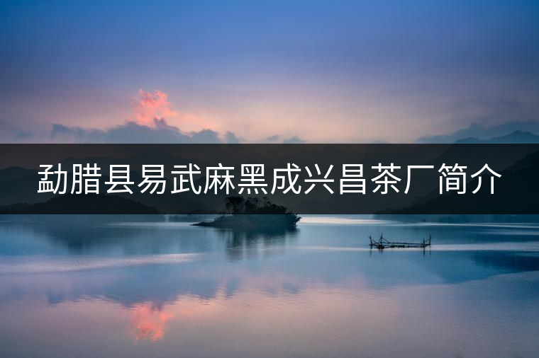 勐臘縣易武麻黑成興昌茶廠簡(jiǎn)介