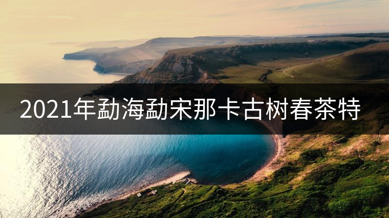 2021年勐海勐宋那卡古樹(shù)春茶特點(diǎn)？