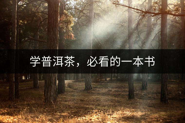 學(xué)普洱茶，必看的一本書