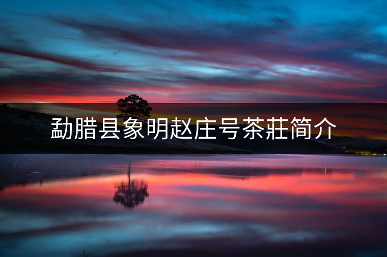 勐臘縣象明趙莊號(hào)茶莊簡介