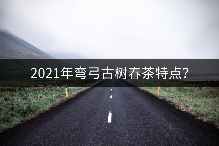 2021年彎弓古樹春茶特點(diǎn)？