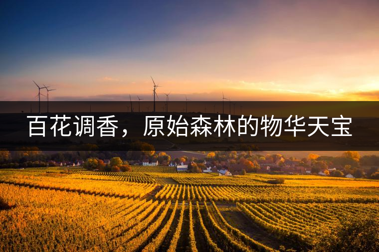百花調(diào)香，原始森林的物華天寶