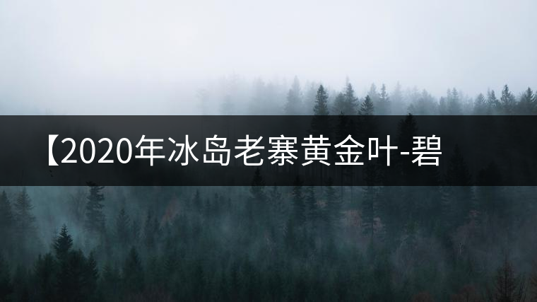 【2020年冰島老寨黃金葉-碧波蕩漾一抹香，輕啜半盞甘若露。