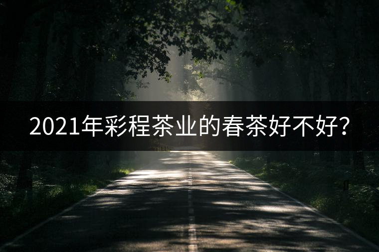 2021年彩程茶業(yè)的春茶好不好？