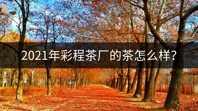2021年彩程茶廠的茶怎么樣？