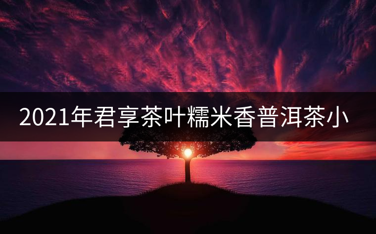 2021年君享茶葉糯米香普洱茶小沱茶餅口感好嗎？