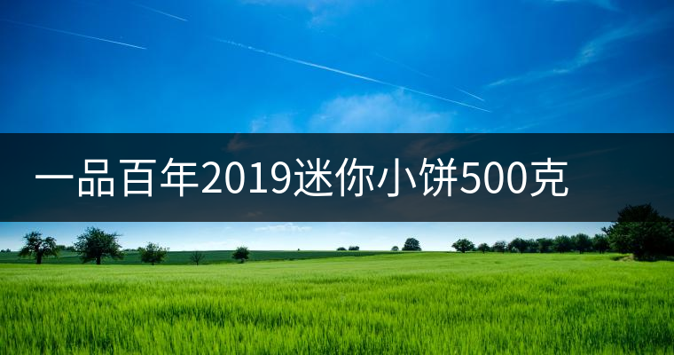 一品百年2019迷你小餅500克古樹生茶品質(zhì)好不好？