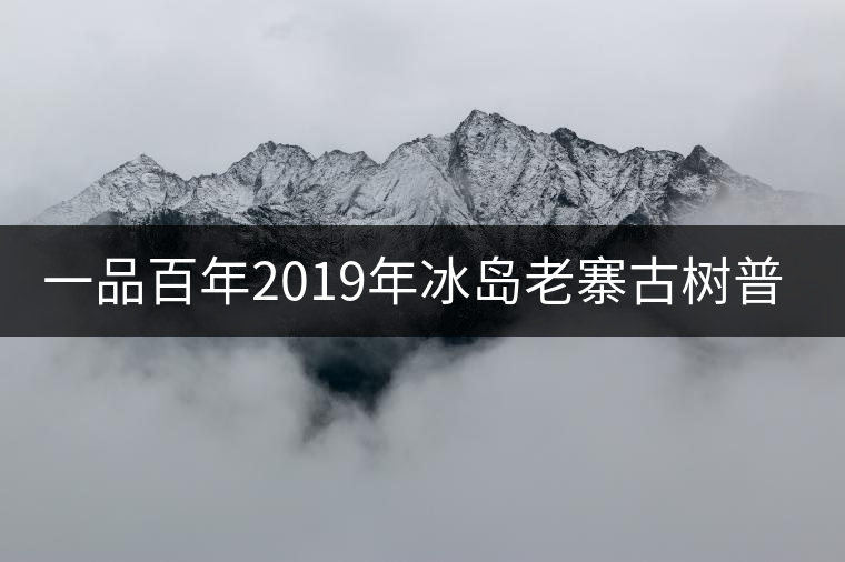 一品百年2019年冰島老寨古樹(shù)普洱茶生茶好喝嗎？