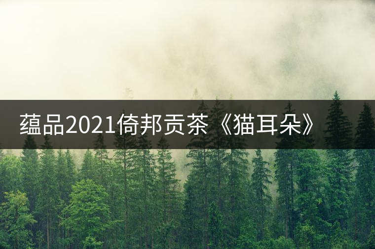 蘊(yùn)品2021倚邦貢茶《貓耳朵》古樹普洱茶生茶好喝嗎？
