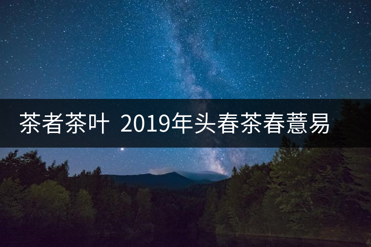 茶者茶葉  2019年頭春茶春薏易武古樹茶  值得收藏嗎？