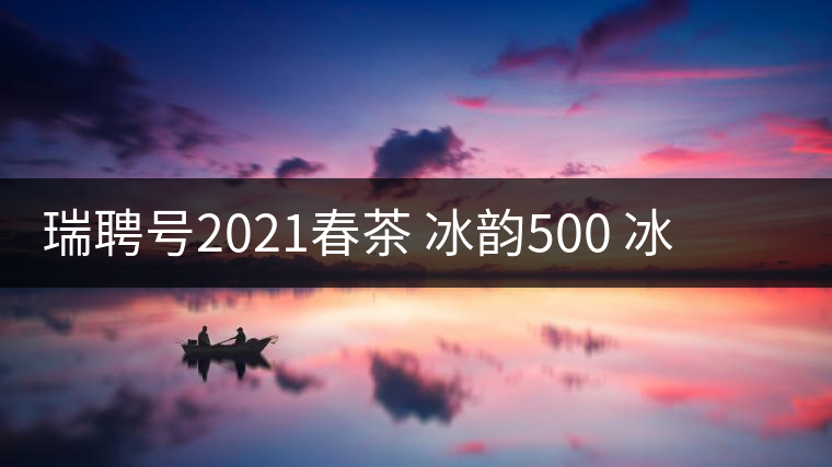 瑞聘號2021春茶 冰韻500 冰島頭春古樹茶口感好不好？