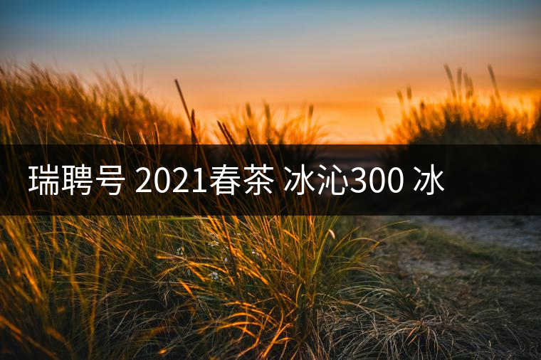 瑞聘號(hào) 2021春茶 冰沁300 冰島頭春古樹茶好喝嗎？