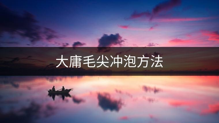 大庸毛尖沖泡方法