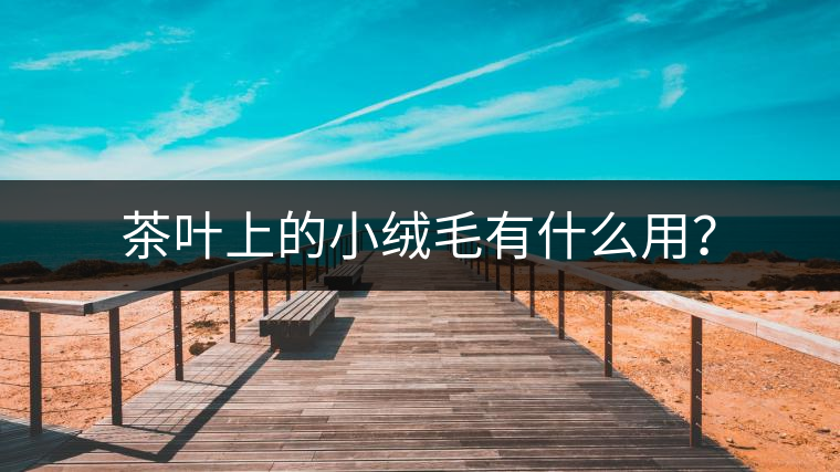 茶葉上的小絨毛有什么用？
