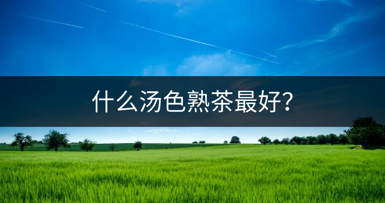 什么湯色熟茶最好？
