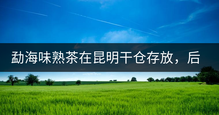 勐海味熟茶在昆明干倉存放，后期轉化如何呢？