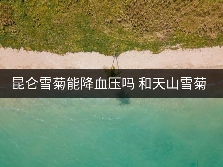 昆侖雪菊能降血壓?jiǎn)?和天山雪菊的區(qū)別 昆侖雪菊能降血壓?jiǎn)?和天山雪菊的區(qū)別