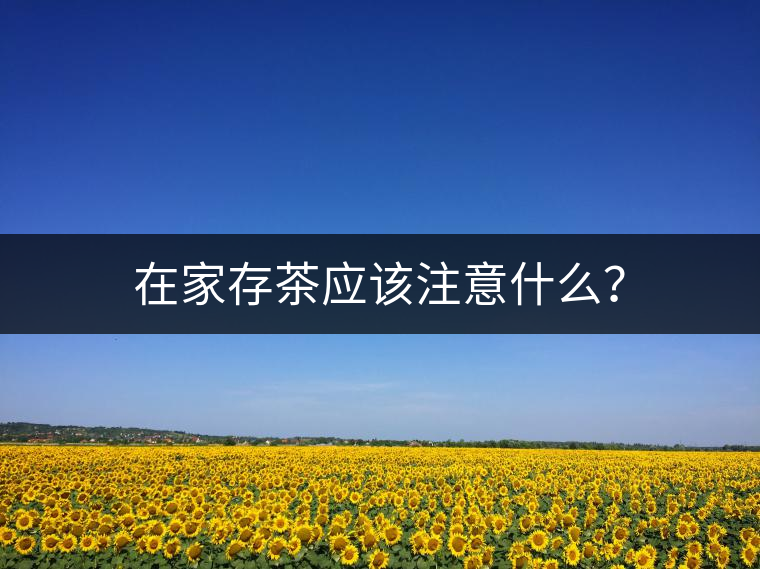 在家存茶應(yīng)該注意什么？