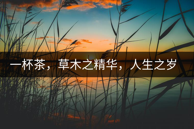 一杯茶，草木之精華，人生之歲月