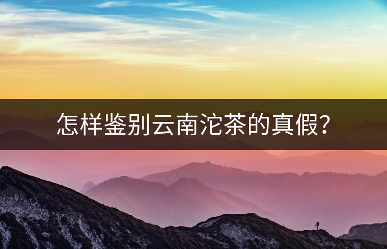 怎樣鑒別云南沱茶的真假？