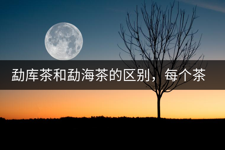 勐庫(kù)茶和勐海茶的區(qū)別，每個(gè)茶友都該了解的選茶常識(shí)！